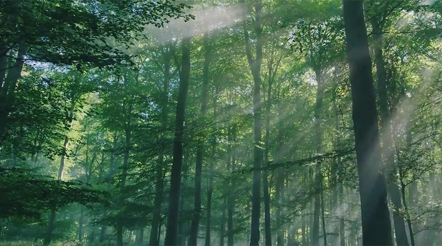 jdb电子企业宣传片