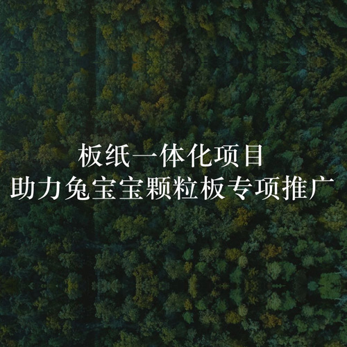 板纸一体化项目，助力jdb电子颗粒板专项推广