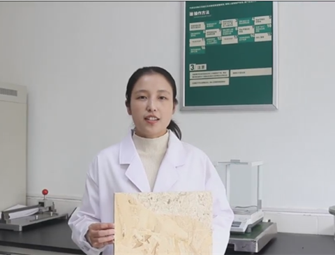 科研先锋|程明娟：创新性胶黏剂的研发与推广者