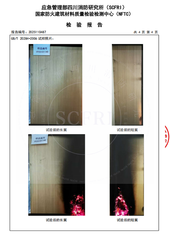 燃烧性能检测报告